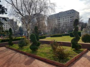 Reguli si masuri luate de SGU Ploiesti pentru parcurile, locurile de joacă, cimitirele, serele și  pepinierele, toaletele publice si parcarile din municipiu