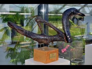 IMAGINI de la noua seră din Grădina Botanică Bucov