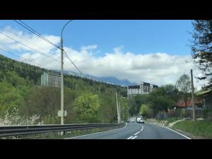 Sfaturi de la Poliția Prahova pentru a petrece în siguranță minivacanța de Rusalii