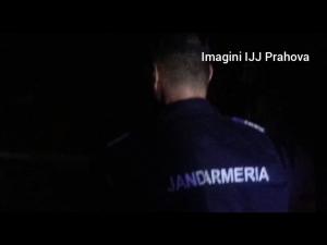 Zilnic, jandarmii intervin în stațiunile prahovene pentru îndepartarea urșilor