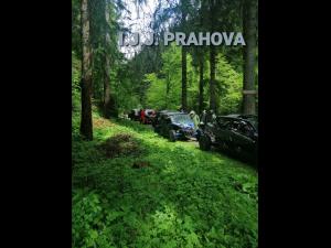 Amenzi pentru turiștii care au pătruns cu mașina în fondul forestier, pe pajiști sau au desfășurat activități de picnic in zone neamenajate