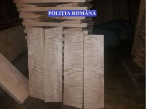 LEMN PENTRU FABRICAREA INSTRUMENTELOR MUZICALE, CONFISCAT DE POLIȚIȘTI