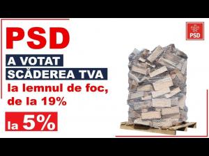 Bogdan Toader: “Proiect PSD, adoptat de Parlament! Lemnul de foc va fi mai ieftin, de la 1 Decembrie!”