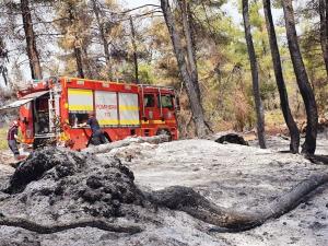 Povestea lui Gabriel Apostol  din Mizil, unul dintre pompierii prahoveni care au stins incendiile din Grecia