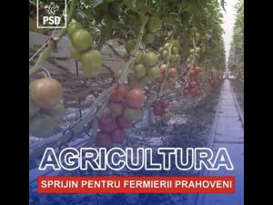 Bogdan Toader: Vin vești bune de la Ministerul Agriculturii pentru legumicultorii din sudul județului Prahova!