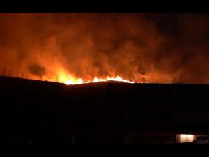 Incendiu de proportii in Gura Vadului. 50 de hectare de vegetatie uscata au ars