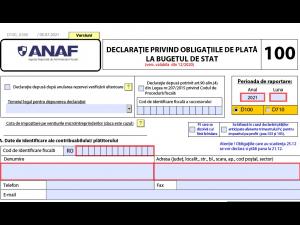 25 iunie – termenul de depunere a declarațiilor D 100 și D 101 