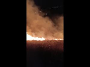 VIDEO- Incendii de vegetatie uscata in Urlati