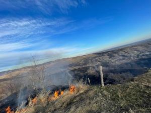 Două plantații, de cătină și nuci, cuprinse de fllăcări în Vadu Săpat