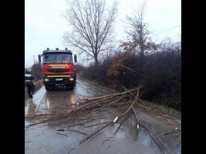 UPDATE Cod galben de vânt în zona joasă a județului/Intervenții ISU Prahova