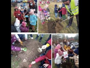 Preșcolarii Grădiniței cu program prelungit nr. 47 s-au alăturat campaniei “Plantează un copac! Adoptă un copac!”