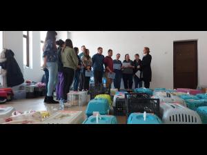 Voluntarii implicați în campania de sterilizare câini și pisici de la Ploiești, premiați de municipalitate