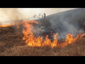 Val de incendii de vegetație uscată/La Breaza, există pericol de propagare la pădure și în apropierea unor locuințe