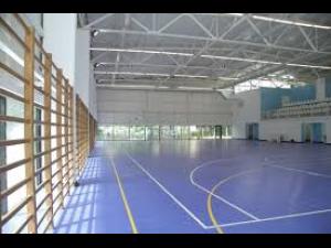 Primăria Albești Paleologu va construi o sală de sport cu tribună în localitate