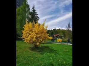 În Prahova a fost un weekend plin de activitati turistice si culturale