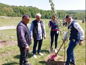 Deputatul Bogdan Toader a participat la acțiunea de plantare arbori, în zona Rizănești, Valea Teleajenului - Vălenii de Munte