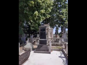 Poliția face cercetări după ce bustul unui fost primar al Ploieștiului a dispărut din cimitirul Viișoara