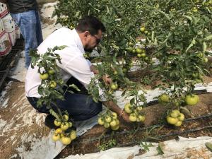 Ministrul Agriculturii, vizita in judetul Prahova - VIDEO/FOTO