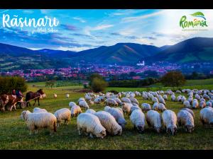 Rășinari, Biertan și Ciocănești, cele mai mari punctaje la “Best Tourism Villages”
