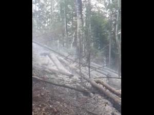 Angajații Direcţiei Silvice Prahova iau măsuri pentru prevenirea incendiilor în fondul forestier