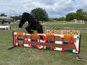 Călărie, muzică și noblețe la Karpatia Horse Show 2022 Un festival ecvestru pentru toată familia!