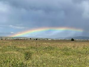 Un curcubeu superb s-a putut observa azi in zona de nord a Ploiestiului si a localitatilor Paulesti si Blejoi