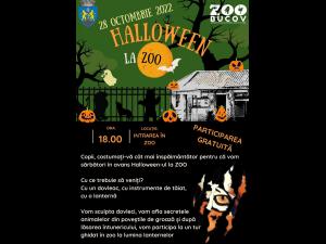 Halloween la ZOO/Tur ghidat la lumina lanternelor și atelier de sculptat dovleci