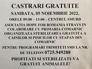 O noua campanie de sterilizare gratuită a animalelor cu stăpân, în Comarnic 