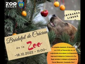 Copilașii, așteptați duminică la “Brăduțul de Crăciun de la Zoo”  