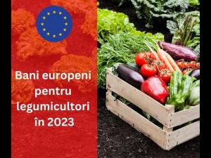 Deputatul Bogdan Toader anunță noi subvenții pentru legumicultori și producătorii de fructe în perioada 2023-2027 prin Planul Național Strategic