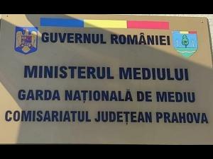 629 controale făcute de Garda de Mediu Prahova, anul trecut