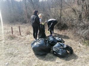 Campanie de ecologizare organizată de elevii din Comarnic