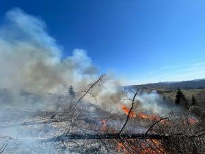 Incendiu vegetație uscată în Comarnic