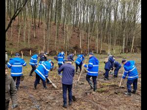 Aproximativ 300 de stejari, plantati astazi de jandarmii prahoveni, cu sprijinul Ocolului Silvic Slanic