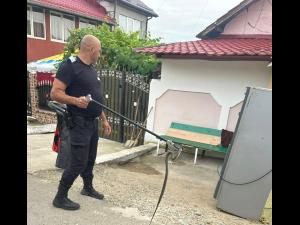 Șarpe îndepărtat de jandarmi din aparatul de cafea 