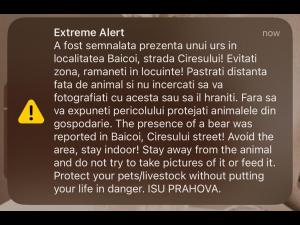 Prezenta unui urs, in Baicoi, anuntata prin RO Alert