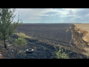 15 hectare de grau au ars in comuna Buda/ Incediul produs de un fulger/ Traficul pe DN1 E 60a fost afectat - FOTO/VIDEO