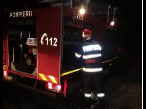 Incendiu in Berceni/Au ars 25 de porci