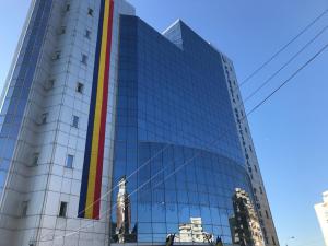 Primăria Ploiești:  a fost instalată și o cușcă pentru capturarea exemplarului de urs
