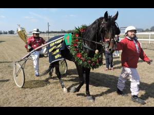 Armăsarul Star Nobel a câștigat Derby-ul de Trap al României!