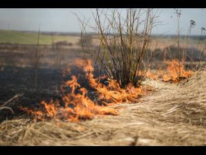 ISU Prahova trage un semnal de alarma/ Cinci incendii de vegetatie uscata produse in prima parte a zilei de duminica/ Ce trebuie facut pentru a evita astfel de evenimente