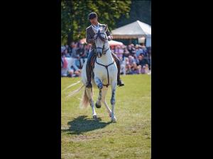Călărie la nivel înalt cu David Guerrero Garcia la Karpatia Horse Show 2023!