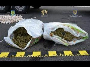 M.A.I. propune noi măsuri pentru siguranța cetățeanului, siguranța rutieră și combatere a infracționalității, în special privind traficul de droguri și substanțe psihoactive