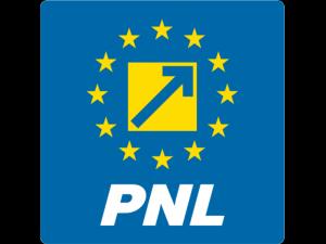 Primarul și viceprimarul comunei Colceag, suspendați din PNL