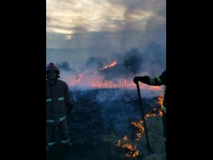 Zeci de hectare de vegetație uscată, cuprinde de flăcări în Prahova/Ce amenzi riscă cei care dau foc 