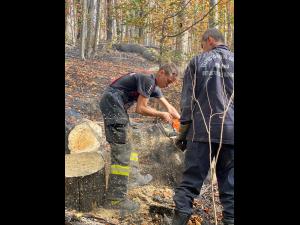 Incendiul din pădurea aflată în zona Barajului Paltinu, stins/Zona este însă monitorizată - IMAGINI