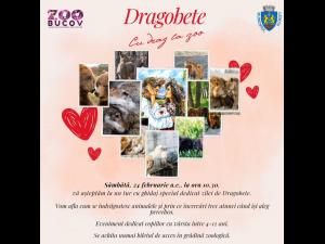 Eveniment special, organizat la Zoo Bucov, de Dragobete/Copilașii vor afla ce înseamnă dragostea la animale 