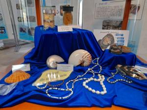 Sideful și perlele, vedetele unei expoziții organizate la Muzeul Rezervației Bucegi din Sinaia