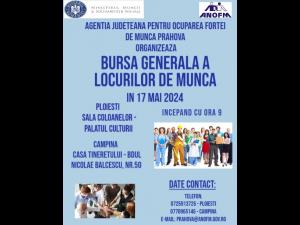 Bursa generala a locurilor de munca – 17 mai 2024