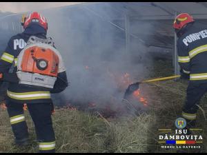 Incendiu la un parc fotovoltaic din Filipeștii de Pădure/A intervenit și ISU Dâmbovița